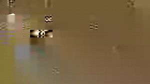 Congratulations to all who attended the female wingsuit formation record last weekend and achieved a new world record 19 way formation! The first record set was an 18 way, completed on just the 4th jump. Two days later they broke the record again with a 19 way! All participants were flying Freaks. Event organizer, Marie Clark, would like to give a shout out to: Katie Hansen, Keri Bell, and Shayni Couch for being amazing and helping out. RECORDS Set: Women's Wingsuit Largest Formation Non-Grip fo