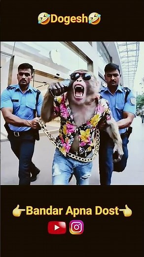 Monkey vlog part 155 #moj #funny #comedy #automobile #movie #aimonkey #aivlog #monkeychallenge