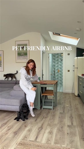 Reality of a Pet Friendly Airbnb: Honest Host Tips