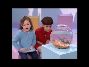 Elmo's World Kids and Baby #41: Wild Animals #elmosworld