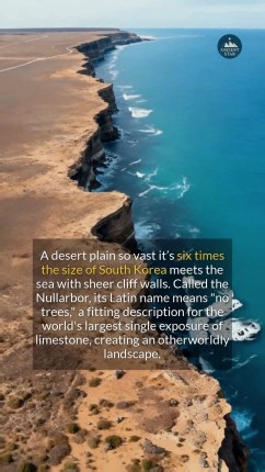 81K views · 893 reactions | What secrets lie beneath a plain named for having no trees? #history #discovery #didyouknow | Ancient Star | Facebook