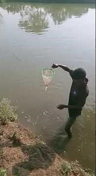 Plankton Net and plankton collection