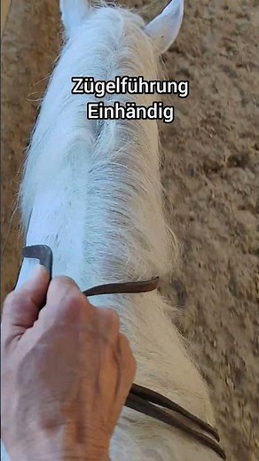 One-Handed Reining#westernriding #learntoride