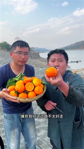 When the weather is hot and the temperature is high, the fruit ripens