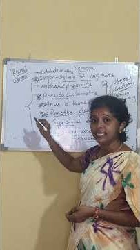 Nematoda (Roundworms) | Important Topics | Zoology