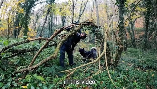 Building a Bushcraft Hut for Ultimate Survival Skills