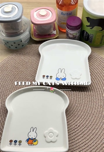 Weekly Cat Food Menu: Delicious Options for Your Feline