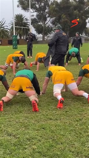 SuperSport Rugby on Instagram: "ASMR: Springbok ‘Maak Klein’ edition 🌧️🗣️"