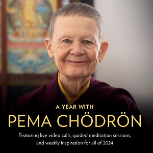 158K views · 2.6K reactions | Want to spend 2024 with Pema Chödrön? This January, you can embark on a special journey with Pema Chödrön—immersing in a year of some of her most impactful teachings, including 4 LIVE Zoom Q&A sessions with Pema herself. | Shambhala Publications | Facebook