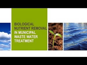 Biological Nutrient Removal (BNR) PPT