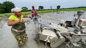 Lets enjoying with my Village family | Village Vlog