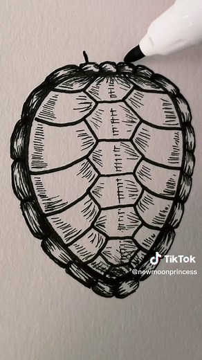 How to Draw Sea Turtles: Easy Drawing Tutorial