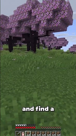 this is how to place 1000 dirt blocks in minecraft i guess..