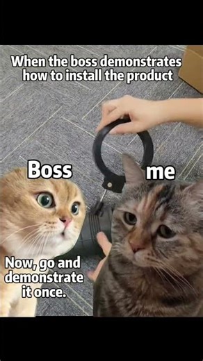 Installation Steps for Optical Fiber Closure