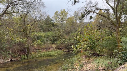 Not sure you’ll be able to see it, but it’s a misty, walk in the clouds kind of evening here at Spring Forest Farm. Hope your evening is peaceful. | Spring Forest Farm