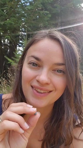 16K views · 1K reactions | Oregon grape berries are ripening! #wildfoodlove #apothecarymary #forager #foragedfood #wildfoodlove #mountaincultured #wildremedies | Apothecary Mary | Facebook