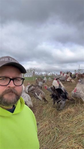 Hey Turkeys | Fowl geometry 👨🏻‍🌾🦃🤣 #food #funny #comedy #turkey #birds #farming #science #math #geometry | Instagram