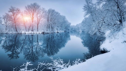 How Do Fish Survive the Winter? 5 Amazing Ways They Adapt