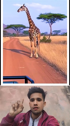 Reaction Jaan on Instagram: "Bandar ki Masterchef Training! 😂 Funny Monkey Prank! #Comedy #AnimalViral"