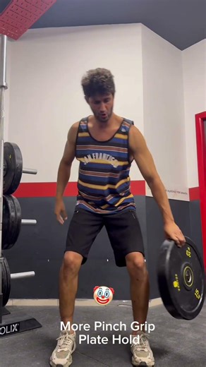 Grip Training Day 3 | Pinch Plate & Monkey Bar & Dumbbell