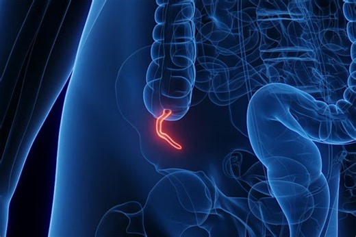 What does the appendix do? Biologists explain the complicated evolution of this inconvenient organ