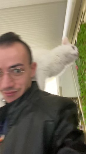 Replying to @ale_e_roto alcuni scatti durante i nostri anni insieme #catsoftiktok