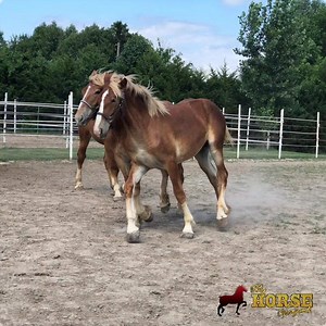 2.2K views · 72 reactions | Looking for a weekend get away? Big...