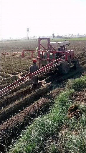 "Tractor Sprayer in Corn Field | Weed & Pest Control for Healthy Maize Crop"