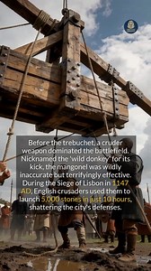 Before the trebuchet, the terrifying mangonel, or 'wild donkey,' hurled destruction at castle walls. #history #medieval #historyfacts | Archaic Origins