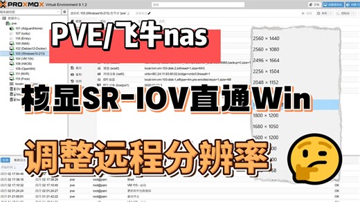 完美解决PVE/飞牛NAS核显SR-IOV直通Win虚拟机，远程软件无法调整分辨率问题