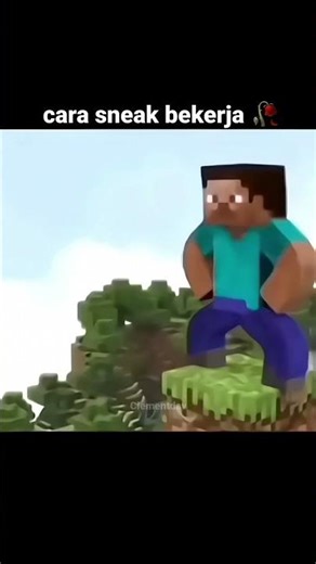 Momen Sneak Minecraft