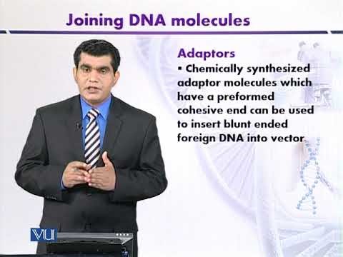 Adaptors: Joining DNA Molecules | Introduction to Biotechnology | BIO5101_Topic063