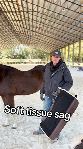 Understanding Swayback in Horses and Solutions