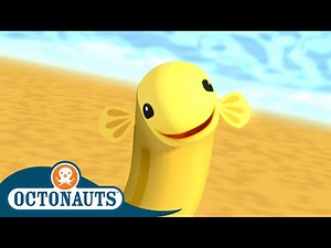 @Octonauts - The Migrating Eel | Full Episode 37 | Cartoons for Kids | Underwater Sea Education