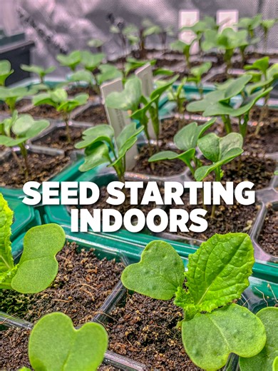 Most people wait until spring to start their garden, but if you live in a cold climate, you're already behind. Here's what I do: Set up a grow tent in the garage, controlled environment, no matter how cold it is outside Use full-spectrum LED lights with built-in fans (I'm using @vivosun AeroLight A100SE, 100W each, super efficient) Add ventilation to keep air moving and prevent mold Heat mat for germination, seeds need soil temps between 70-85°F Seed starting mix: 2 parts coco coir 1 part worm c