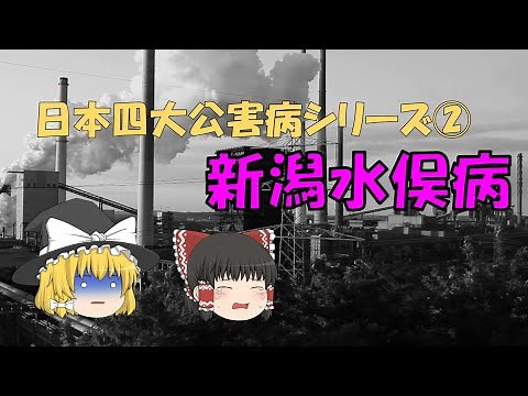 新潟水俣病について解説！【四大公害病】