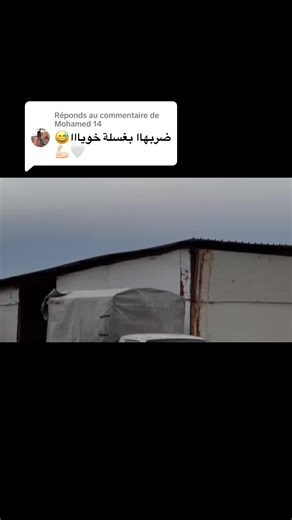 مازدا شعار لا يعرف القانون: رد على محمد 14