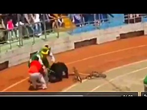 OOPs Circus Bear Eats Monkey in Race Bear Wins
