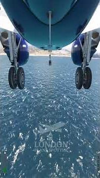 Amazing Landing at Los Angeles Airport! 🛬 LAX Approach Like a Pro 😎 #LAXLanding #PilotSkills