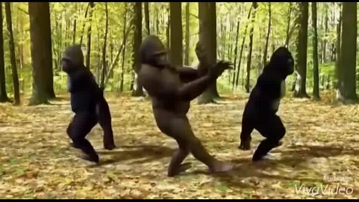 4.9K views · 421 reactions | Jean Marie Dallas - Jira Misoma Ratsy | Idéal Music Gasy | Facebook