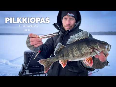 AHVENEN PILKINNÄN PRO-TEKNIIKAT 2026