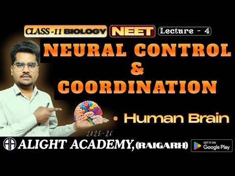 Neural Control & Coordination 04 - Class 11th(NEET)|Biology||Ch - 18 #alightacademyraigarh
