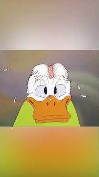 Donald Duck's first time training was a nightmare.