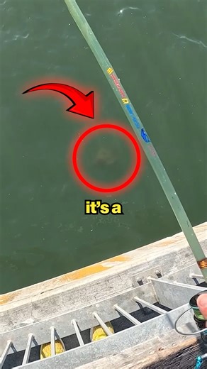 Jeremiah | Catching a 26'' Sea Monster – The Halibut Fight! 🐟💥 | Instagram