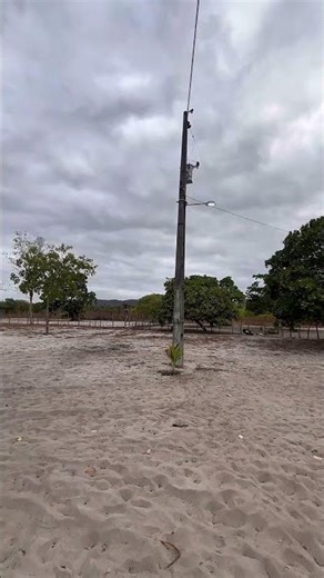 #top #agro #roca #agriculture #livestock #vidanaroca