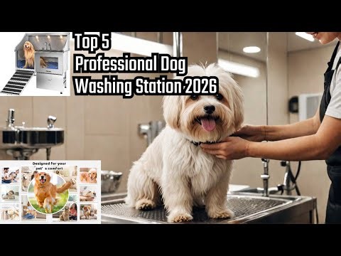 Top 5 Professional Dog Washing Station in 2026! Reviews & Buying Guide!