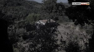 #CalabriadaScoprire: Storie & Mestieri - la mungitura della capra | Calabria News 24