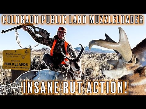 Muzzleloader Antelope Hunting 2022 - Public Land Pronghorn in Colorado!!!