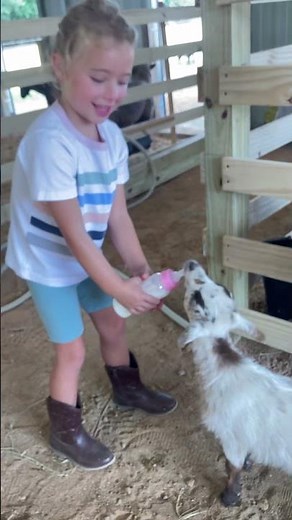 Video of Outside Inn Campground, SC from Jonathan E.