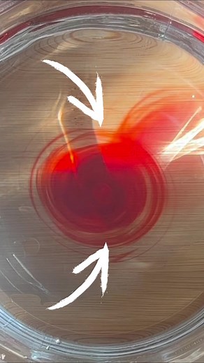 TikTok - Make Your Day